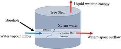 Borehole Equilibration: Testing a New Method to Monitor the Isotopic Composition of Tree Xylem Water in situ